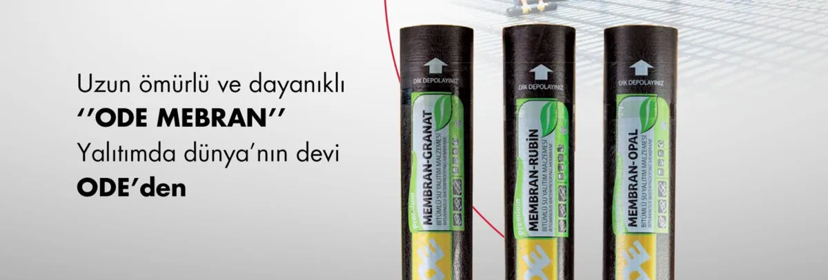 Kapak görseli 1