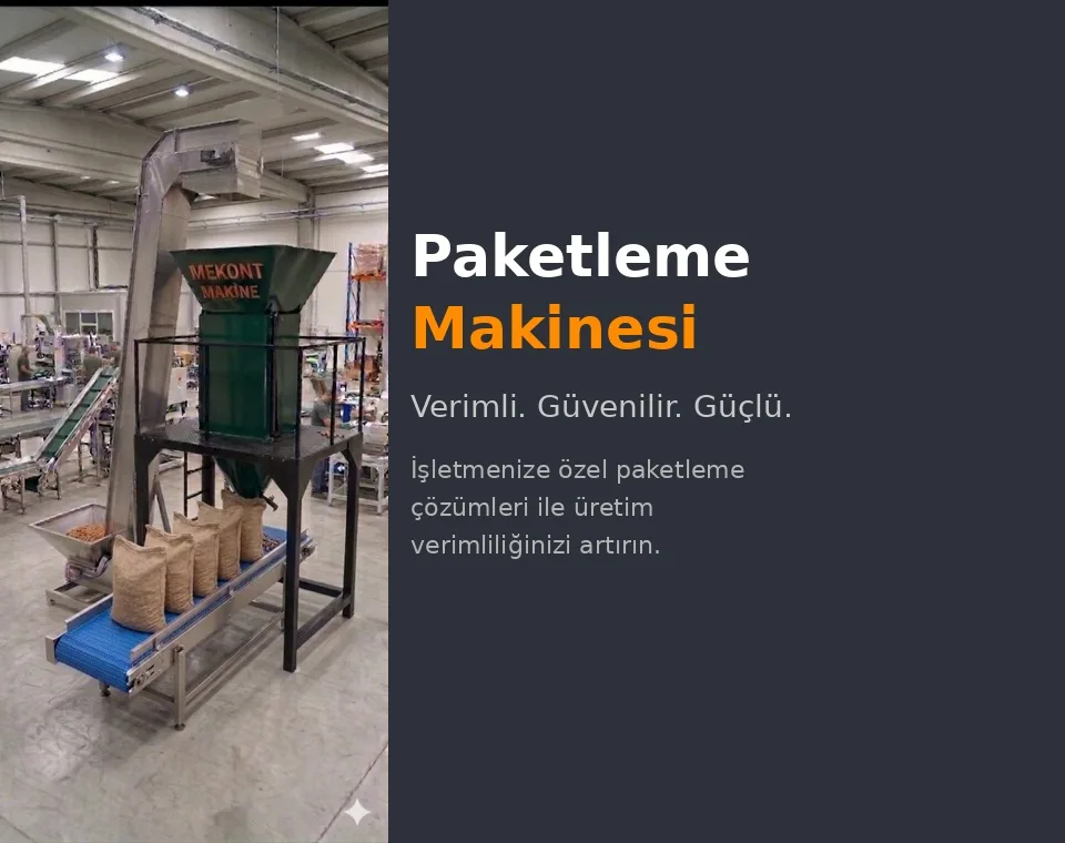 Kapak görseli 1